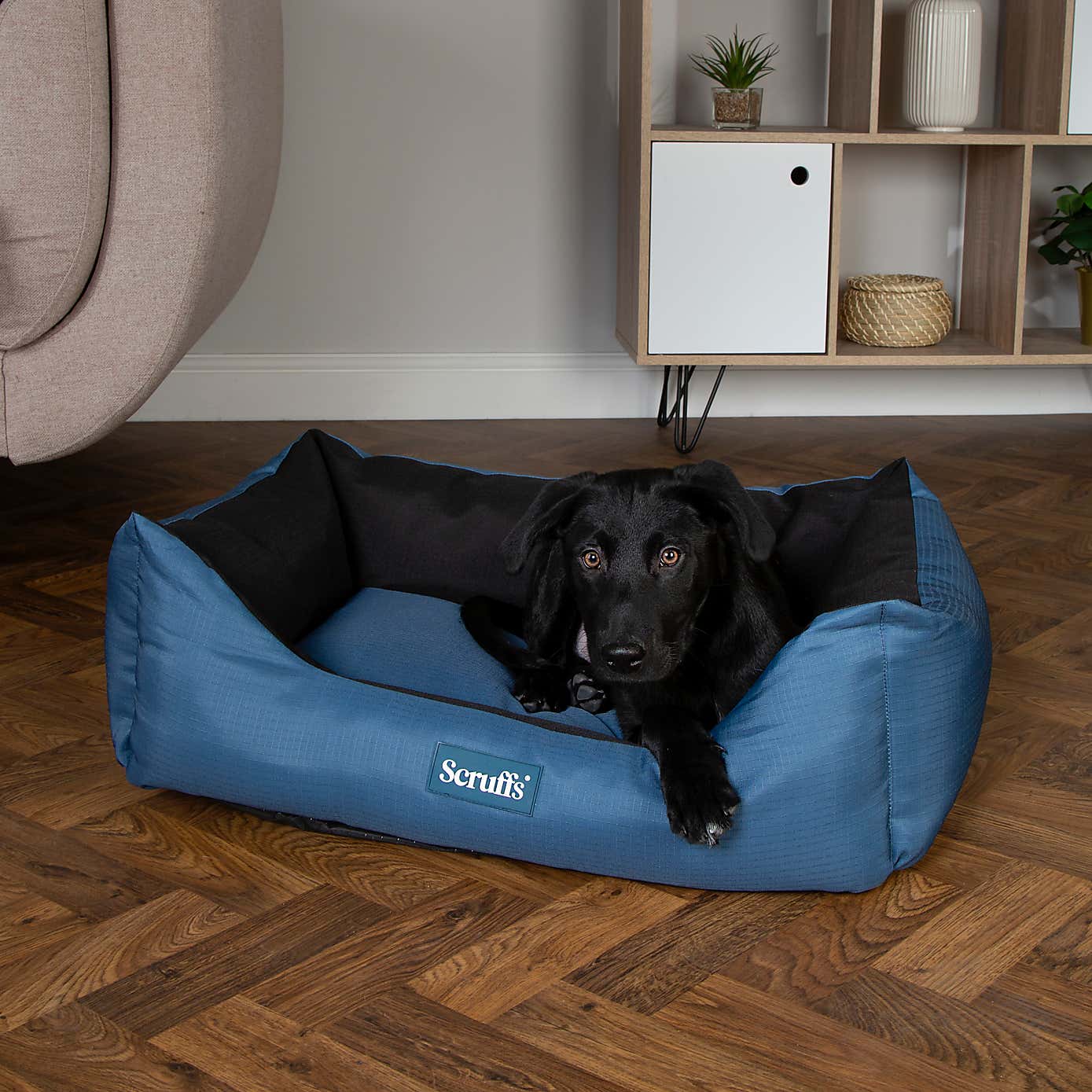 Scruffs Expedition Box Bed