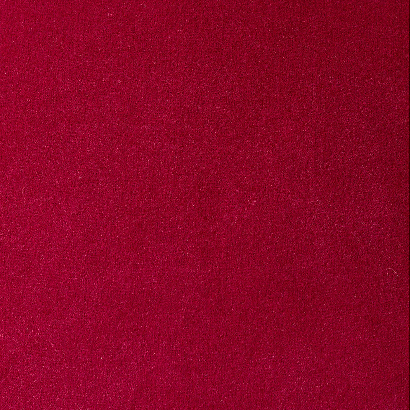 Clara Cotton Velvet Cushion