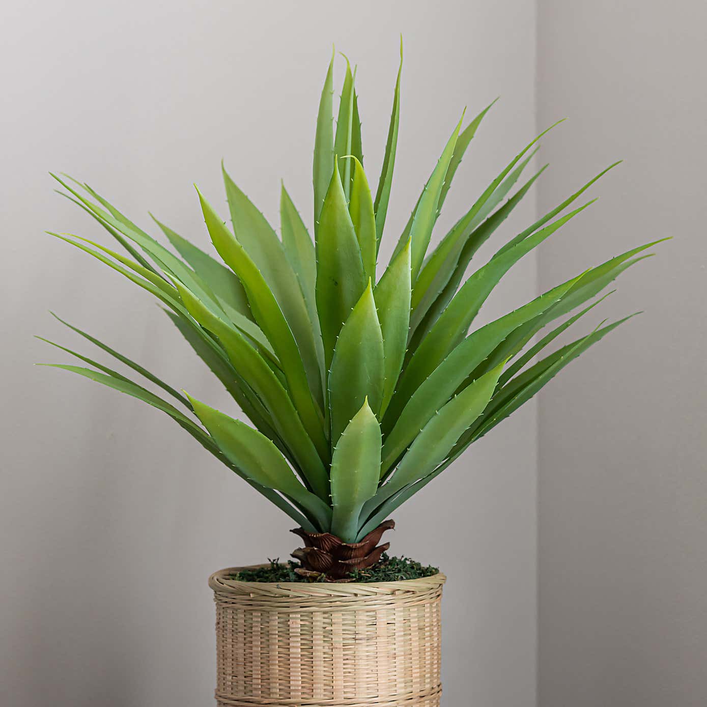 Artificial Dracaena in Bamboo Plant Pot