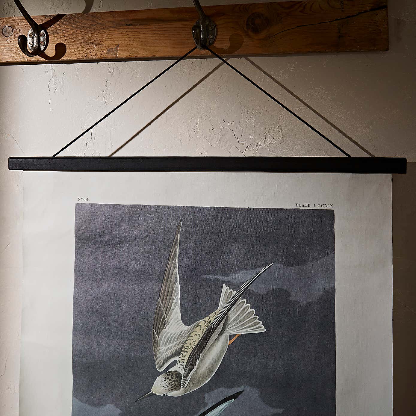 Birds Hanging Canvas 85cm x 62cm