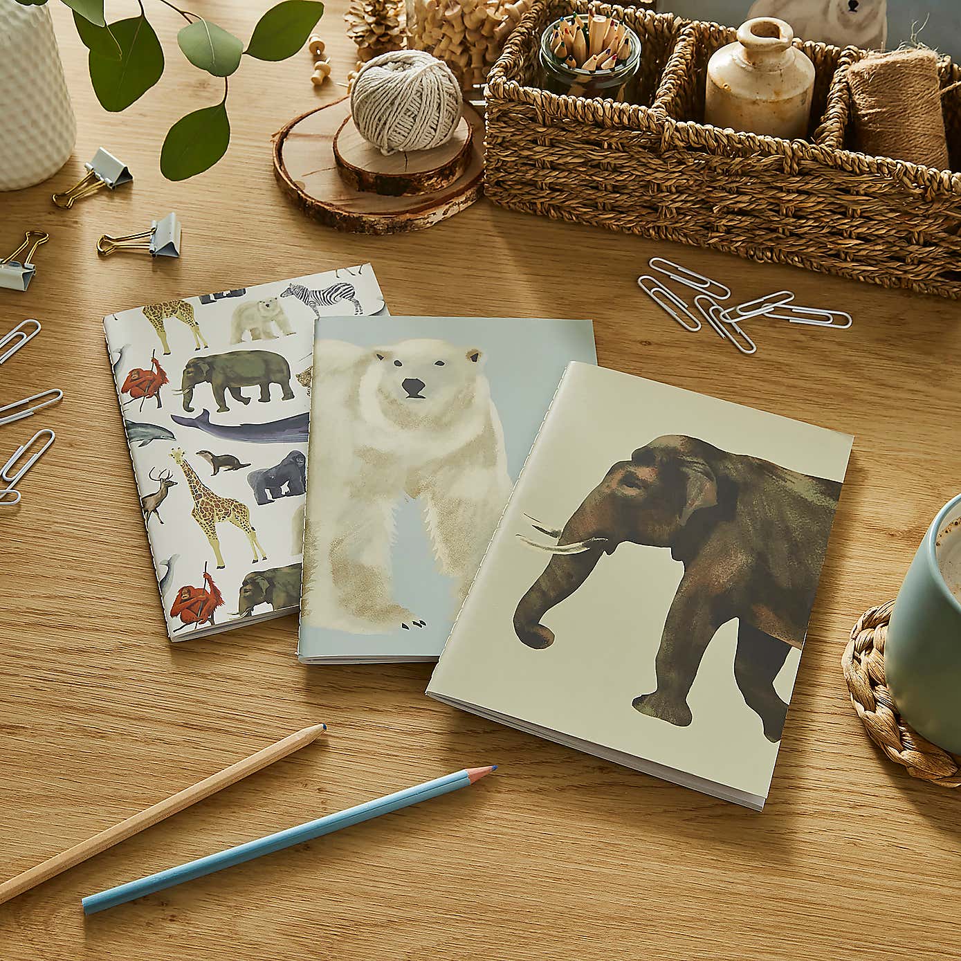 Set of 3 Mammals Softcover Notebooks
