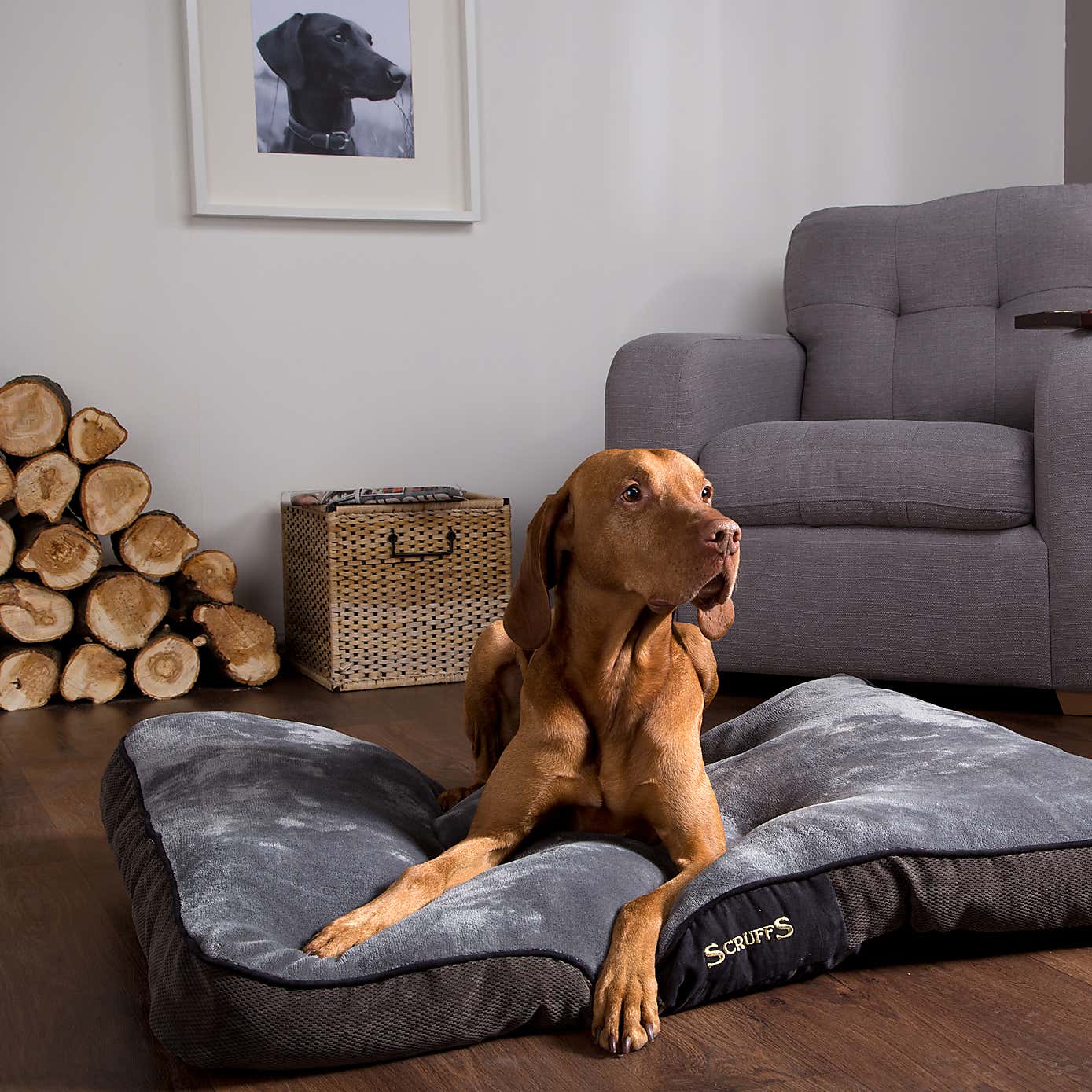 Scruffs Chester Mattress Pet Bed