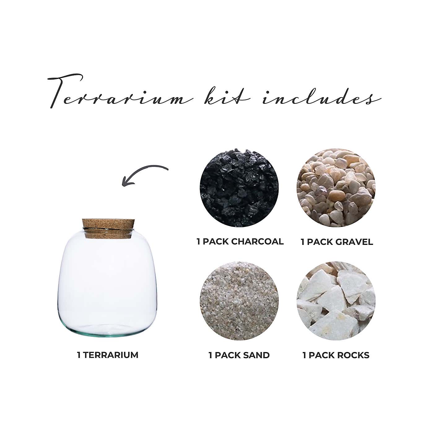 Bowl Shape Medium Terrarium DIY Kit