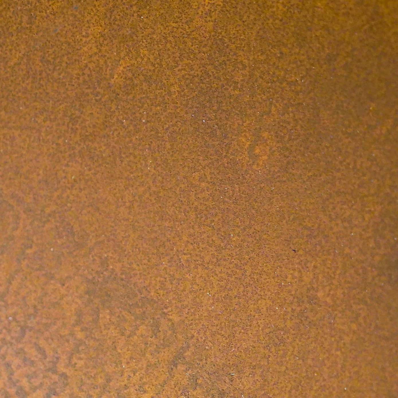 Ivyline Outdoor Metal Dakota Fire Pit