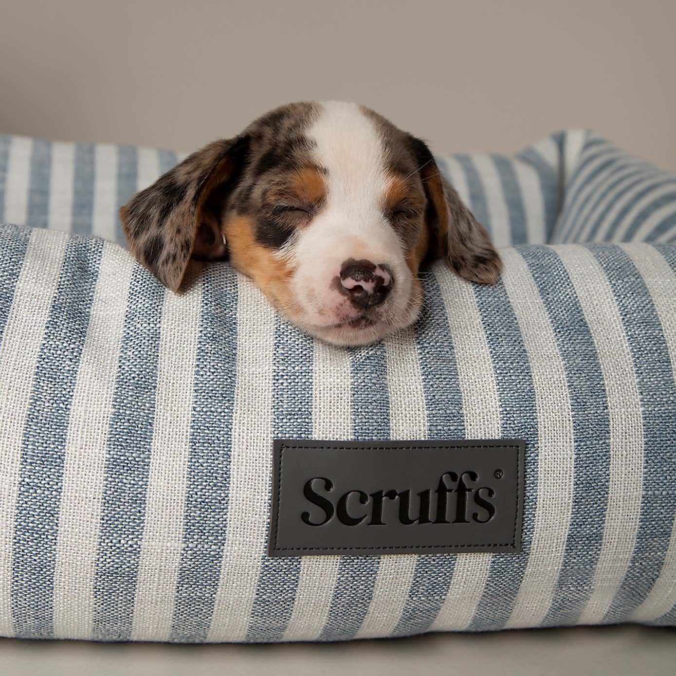 Scruffs Luxury Coastal Pet Box Bed