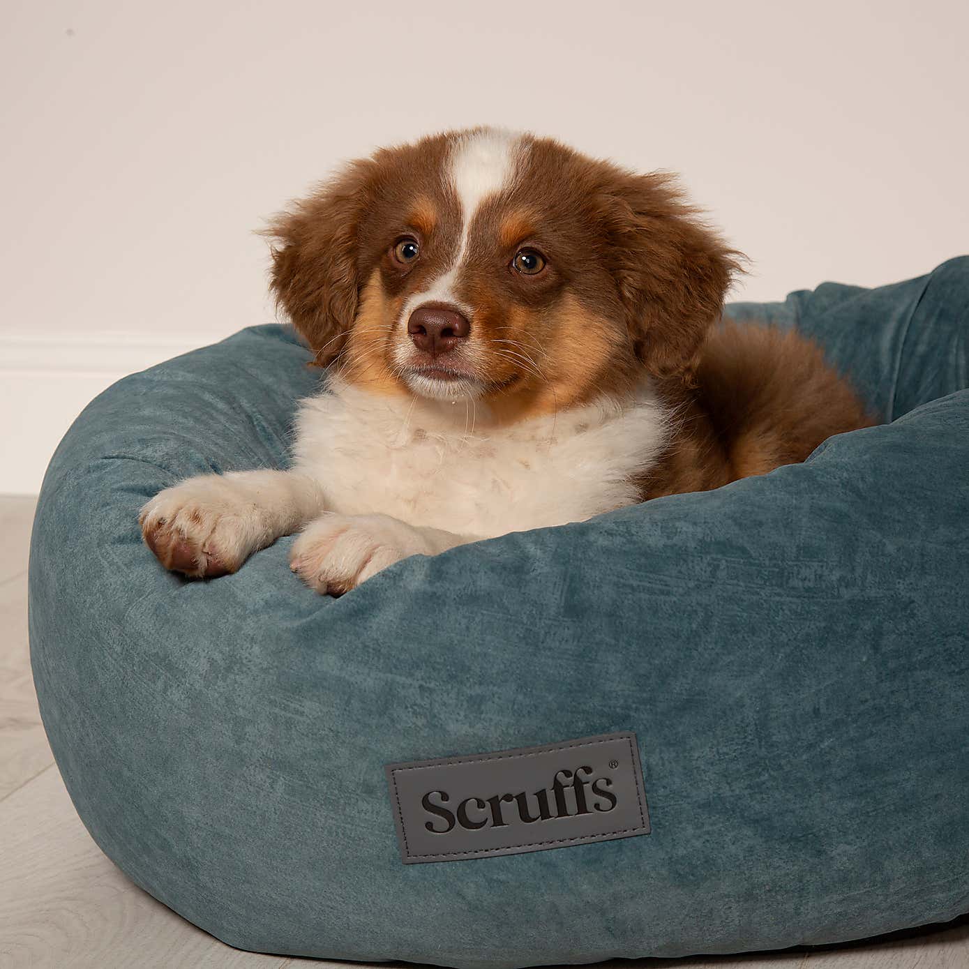 Scruff Oslo Donut Dog Bed