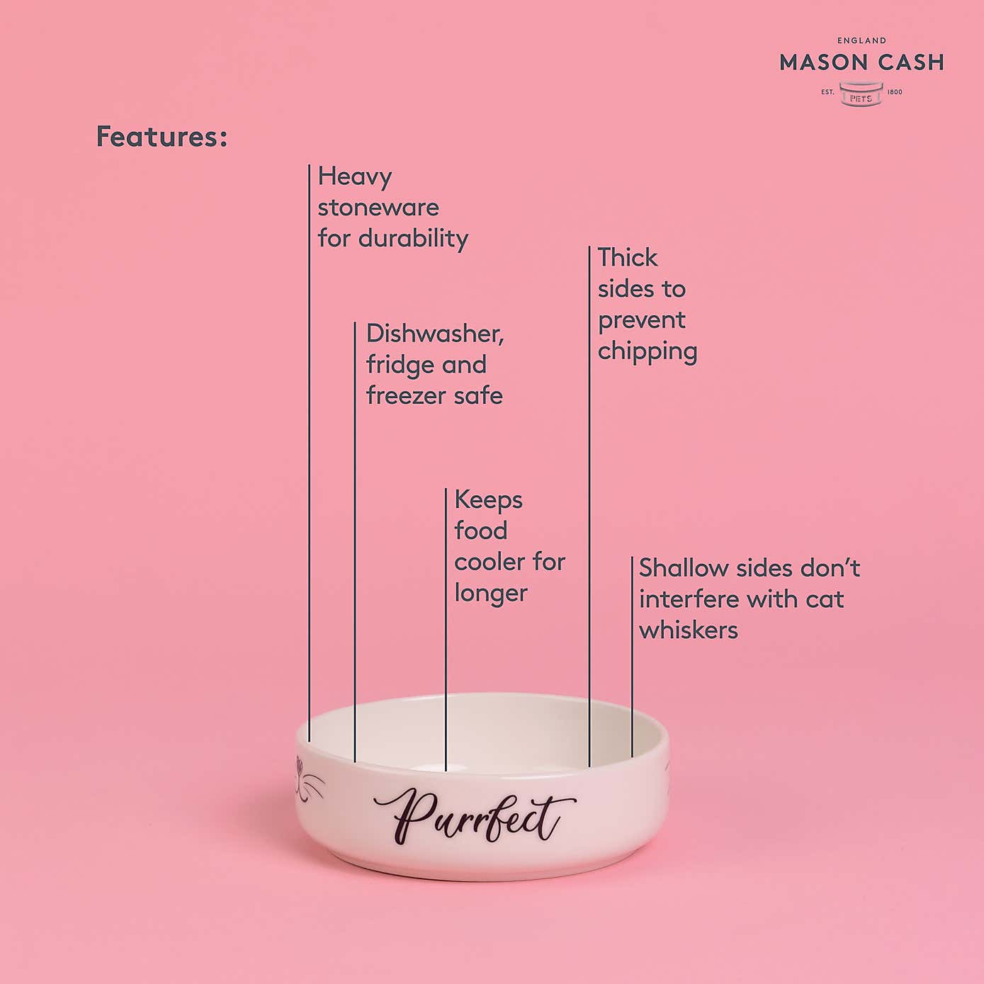 Set of 2 Purrfect Cat Bowls