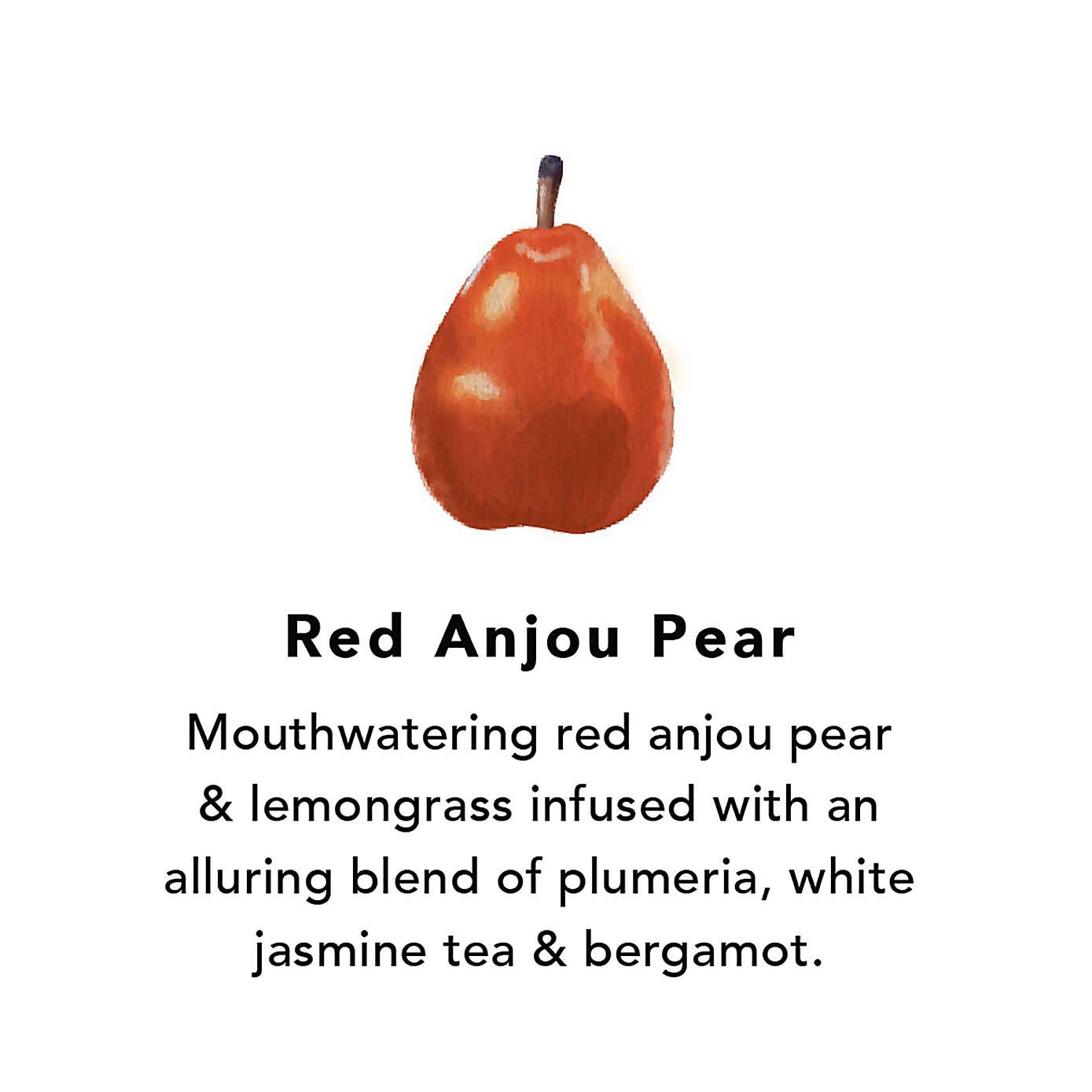 Northern Lights Red Anjou Pear Pack of 6 Votive Candles