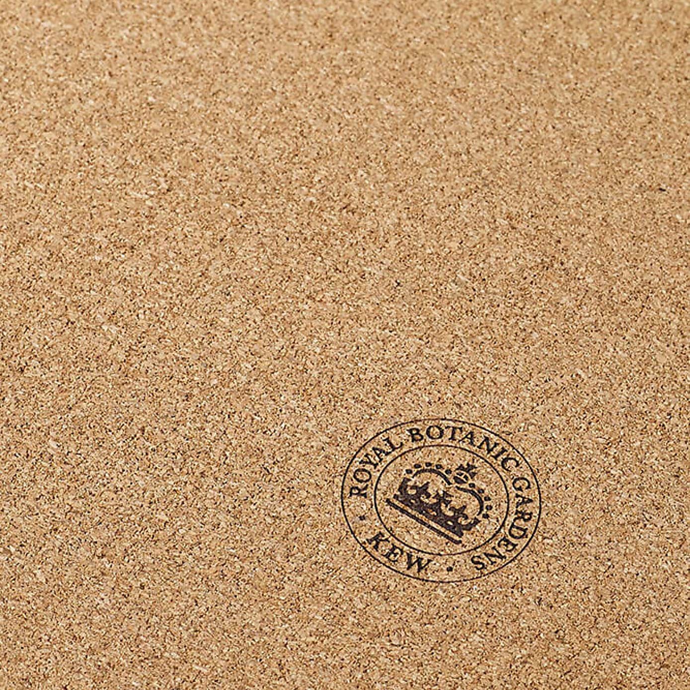 Set of 4 Kew Fruit And Floral Rectangle Placemats