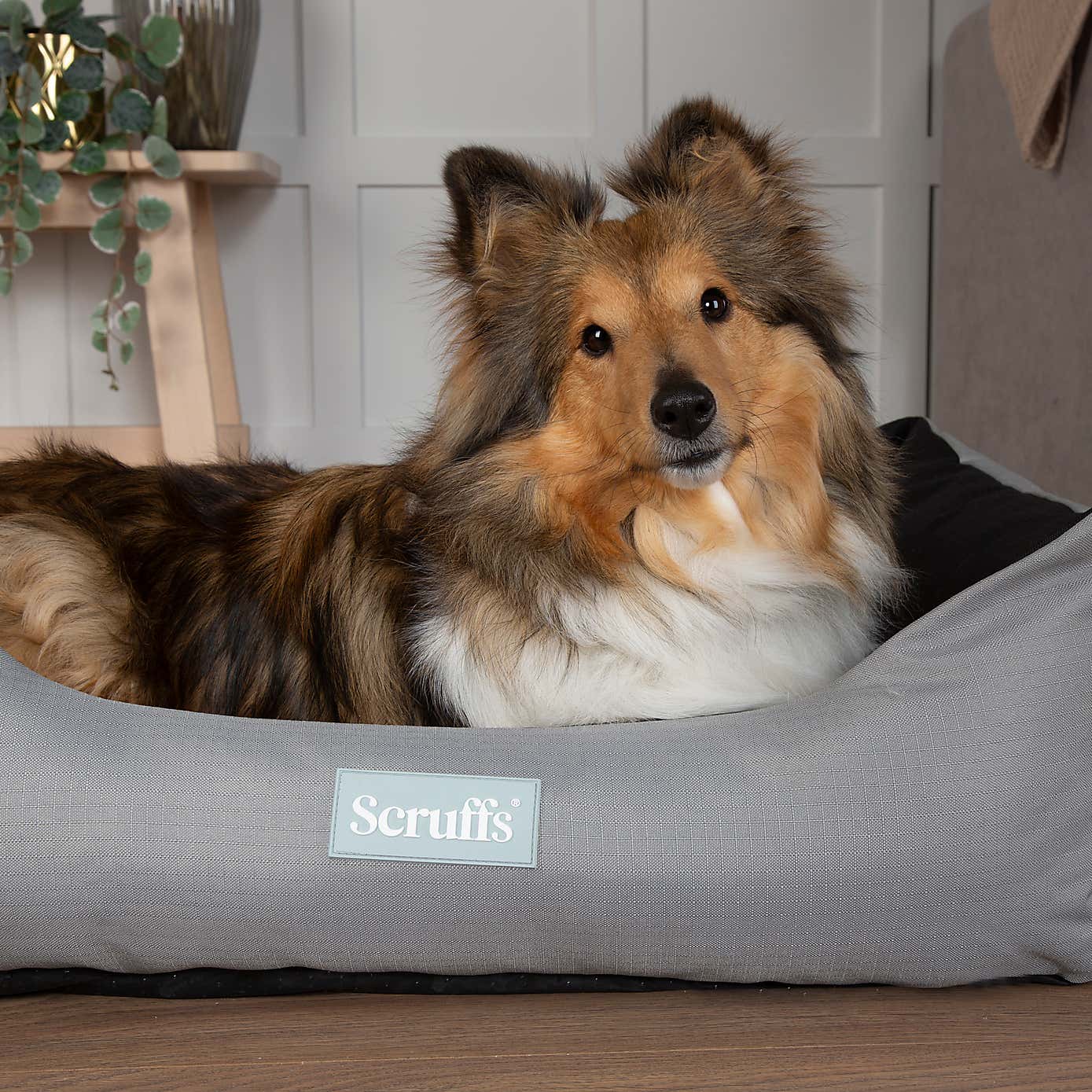 Scruffs Expedition Box Bed