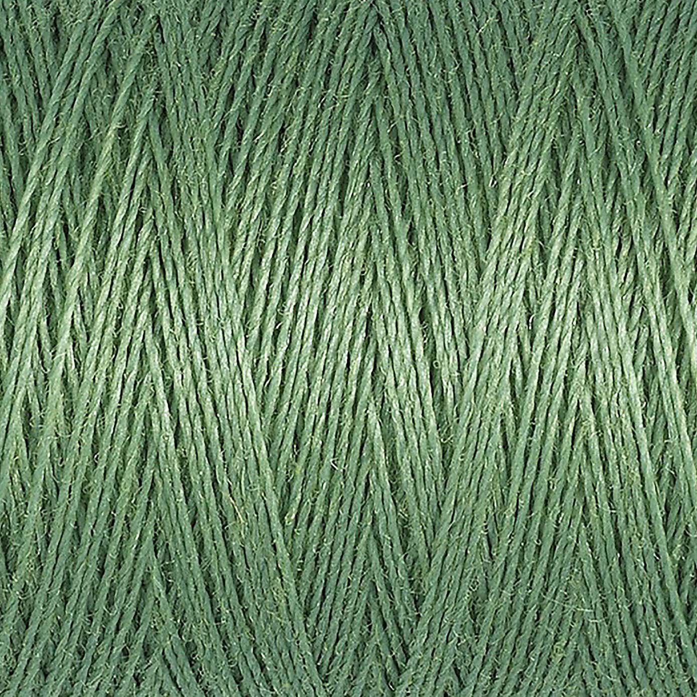 Gutermann Sew All Thread 250m Green (821)