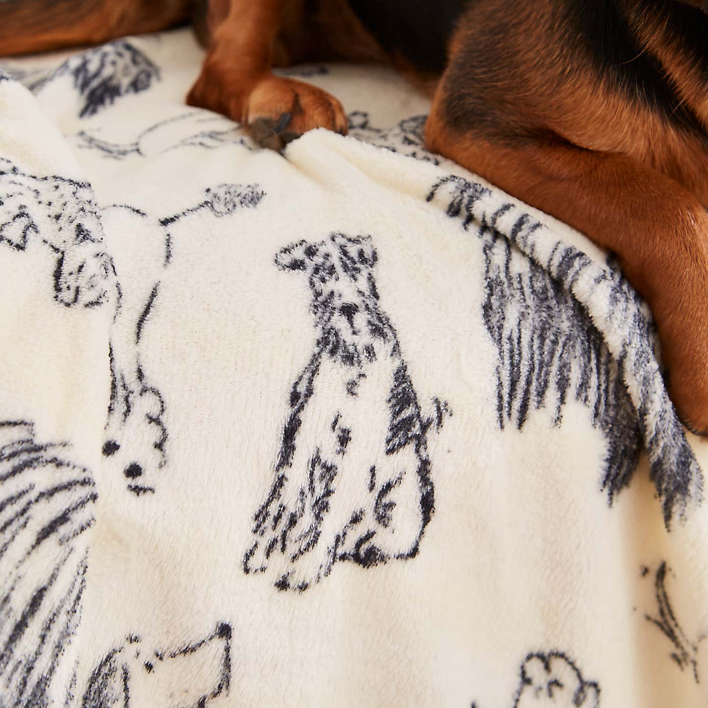 Dog Print Pet Blanket