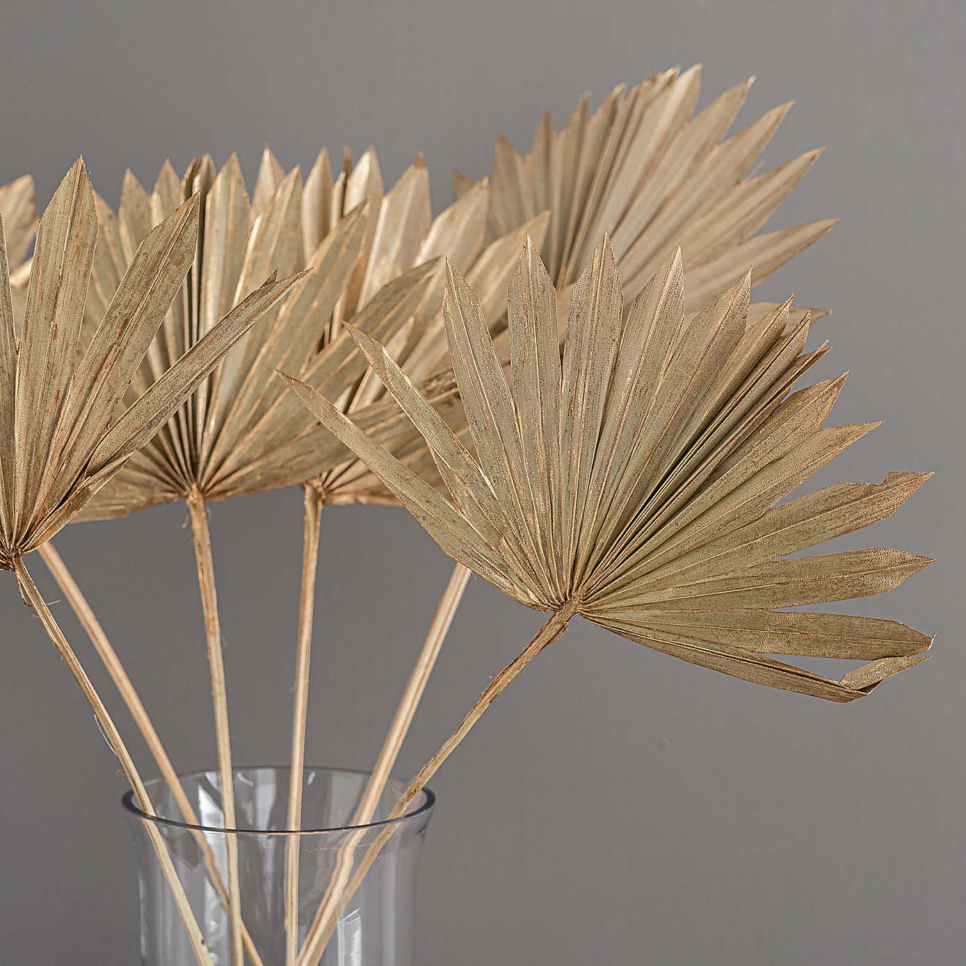 Dried Gold Sun Spear Bundle