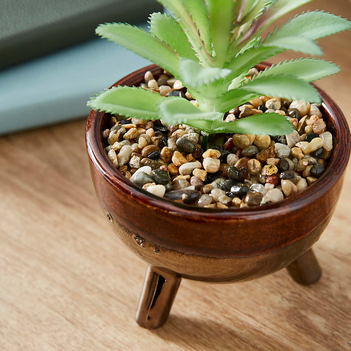 Artificial Succulents in Brown Glazed Footed Plant Pot