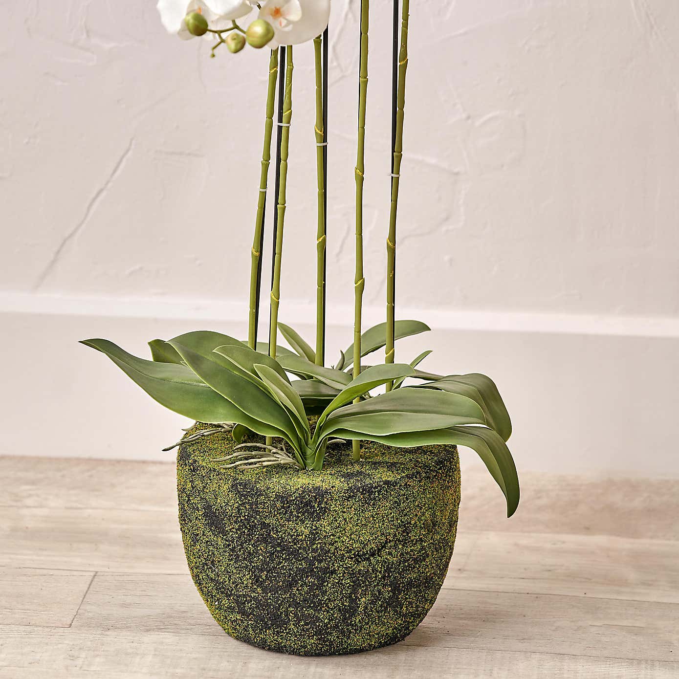 Artificial White Orchid in Moss Plant Pot