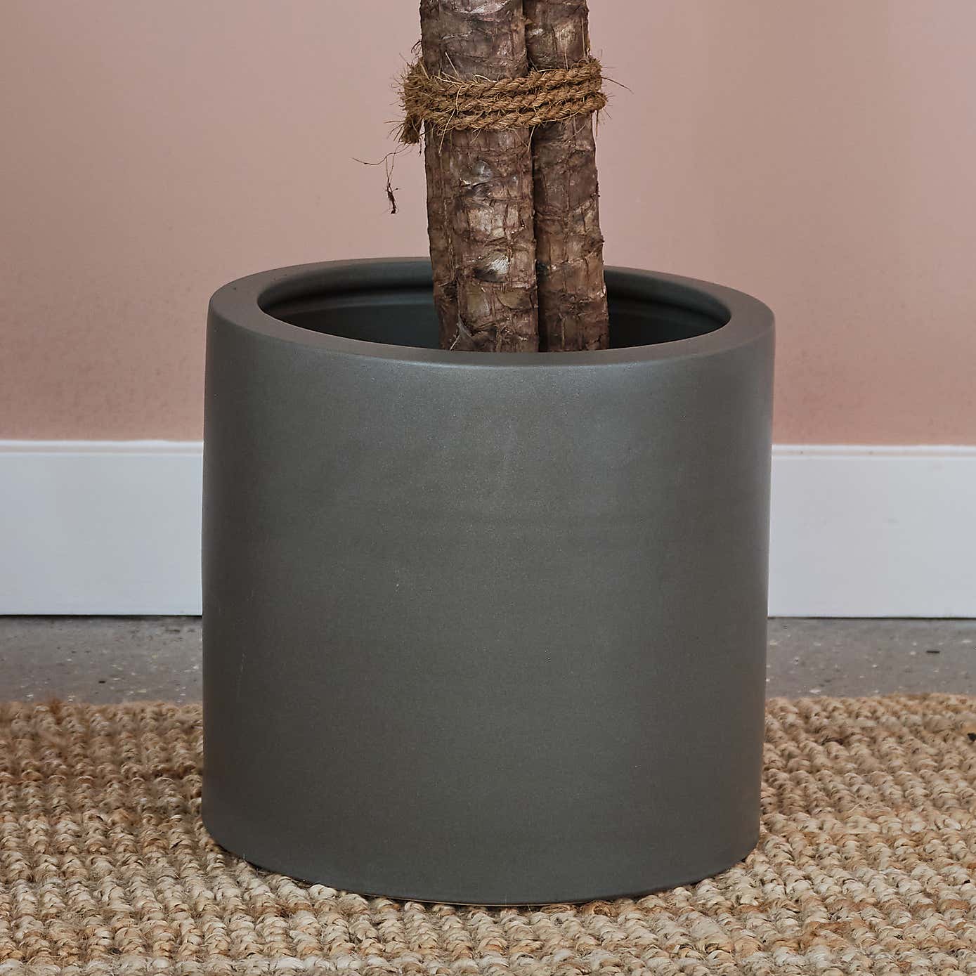 Yucca House Plant in Earthenware Pot