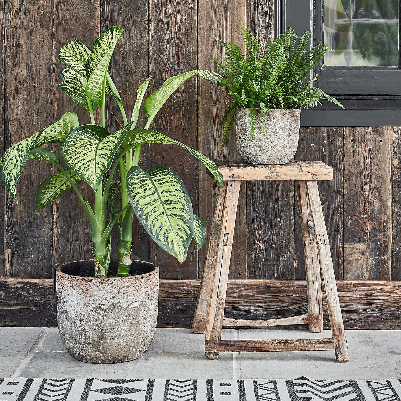 Alberno Plant Pot