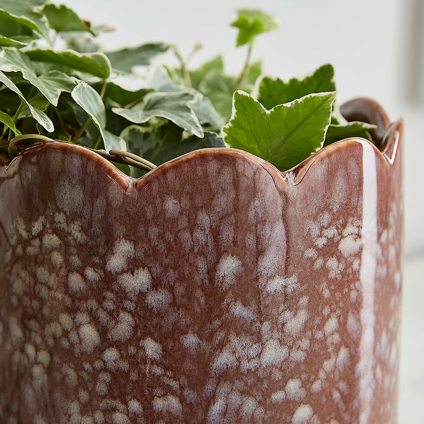 Scalloped Ceramic Plant Pot