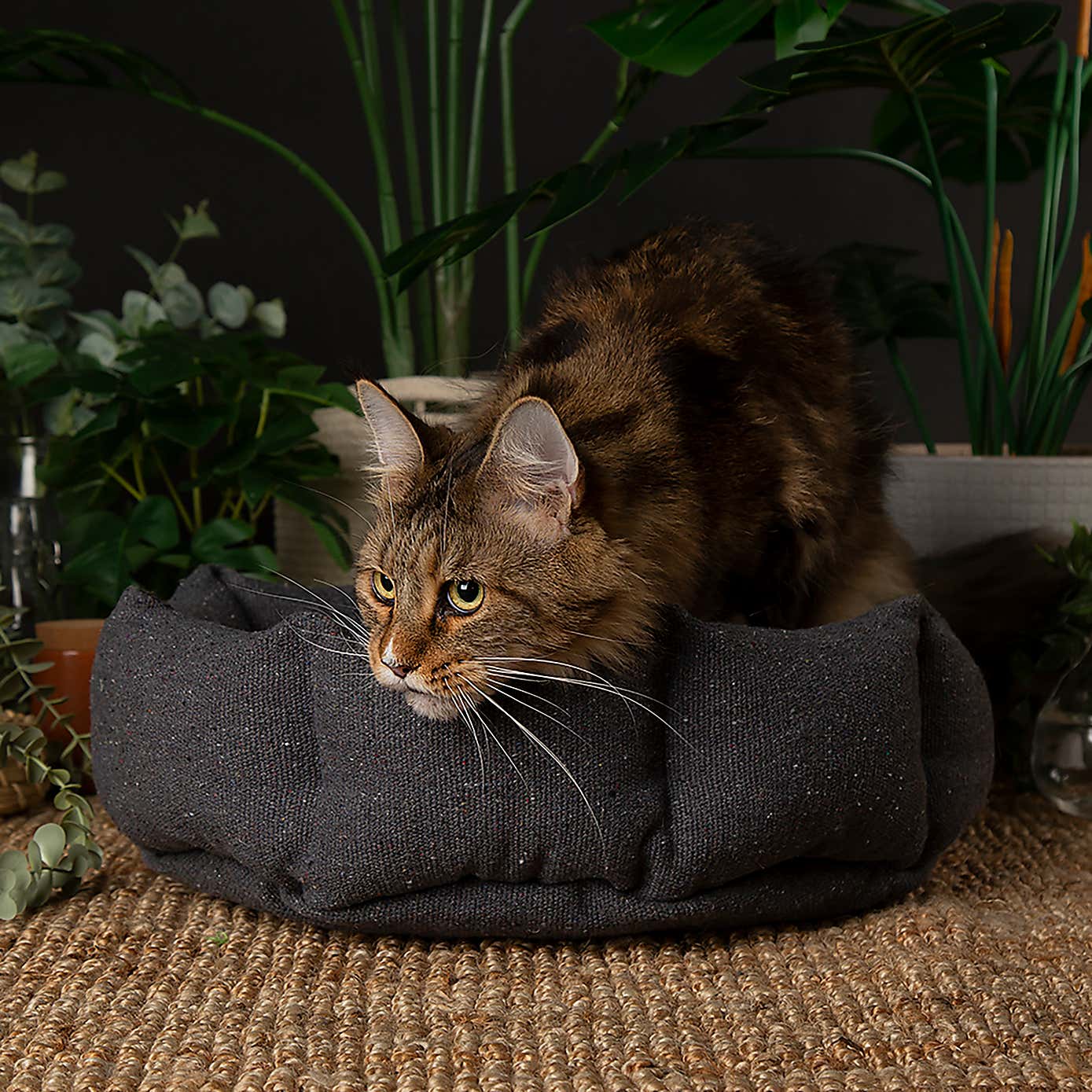 Scruffs 100% Recycled Eden Cat Small Dog Bed
