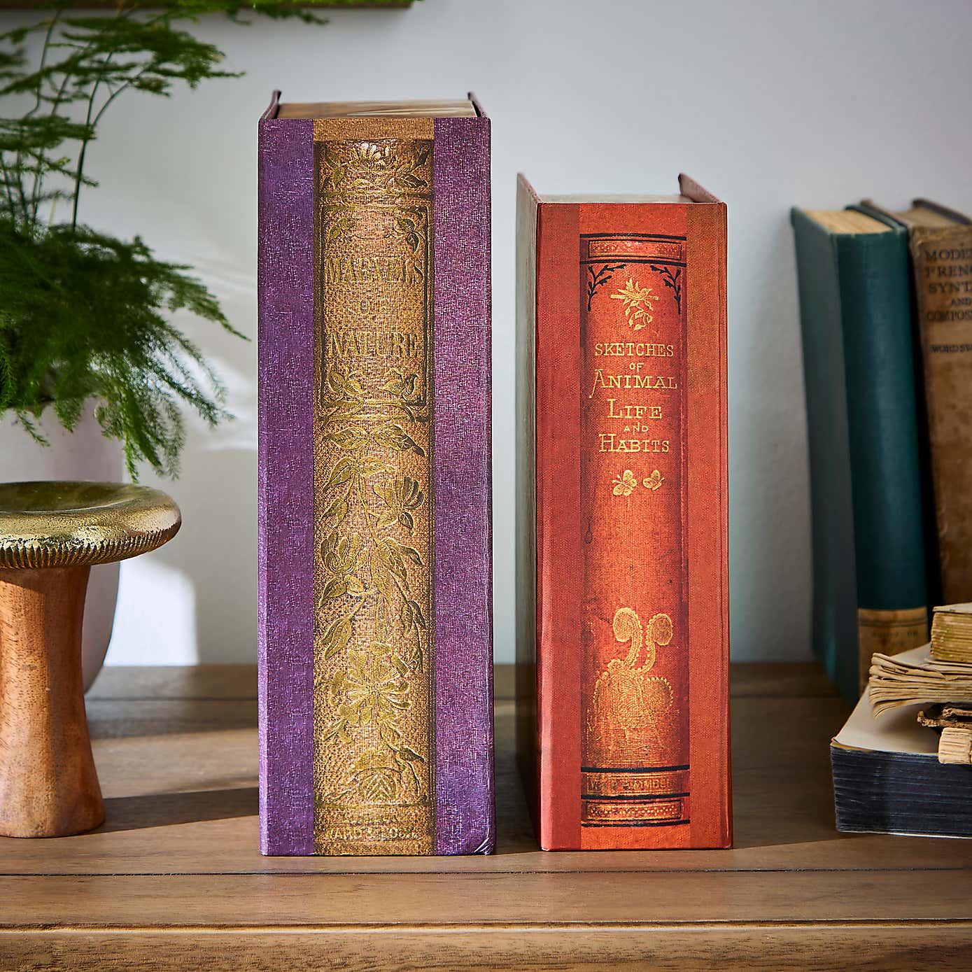 Set of 2 Decorative Classics Book Storage Boxes