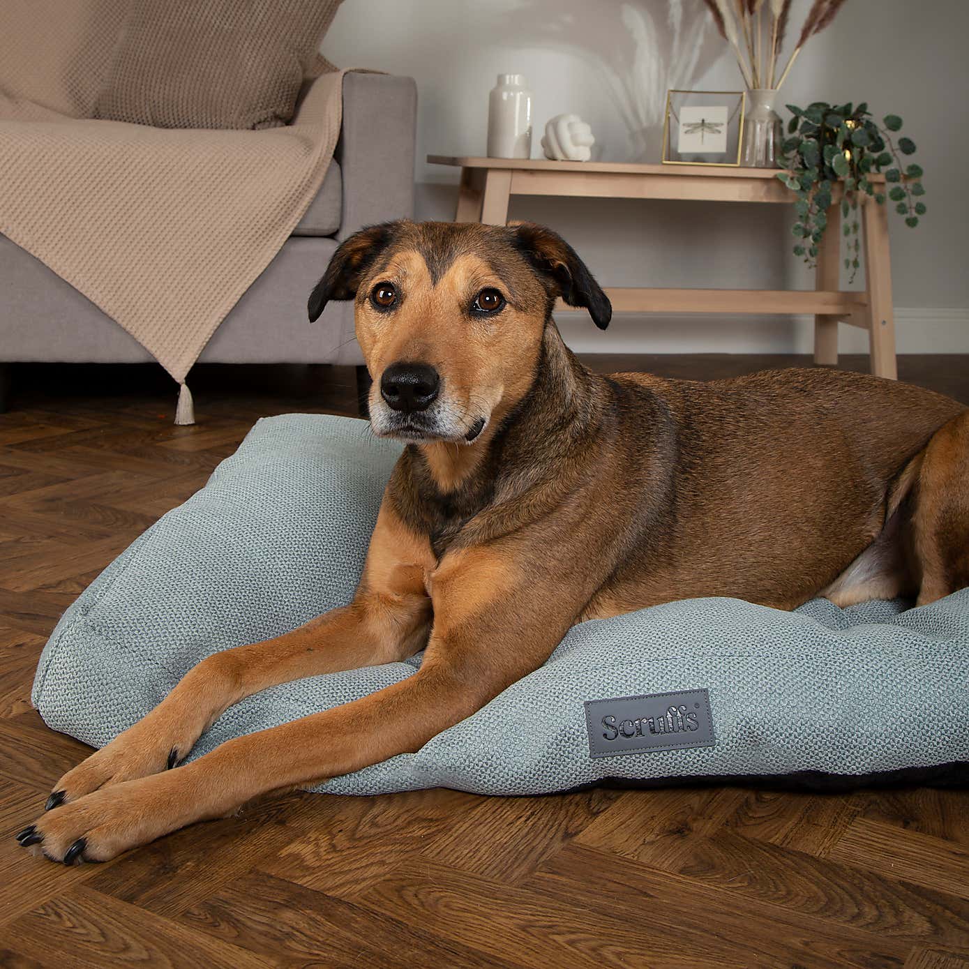 Scruffs Seattle Mattress