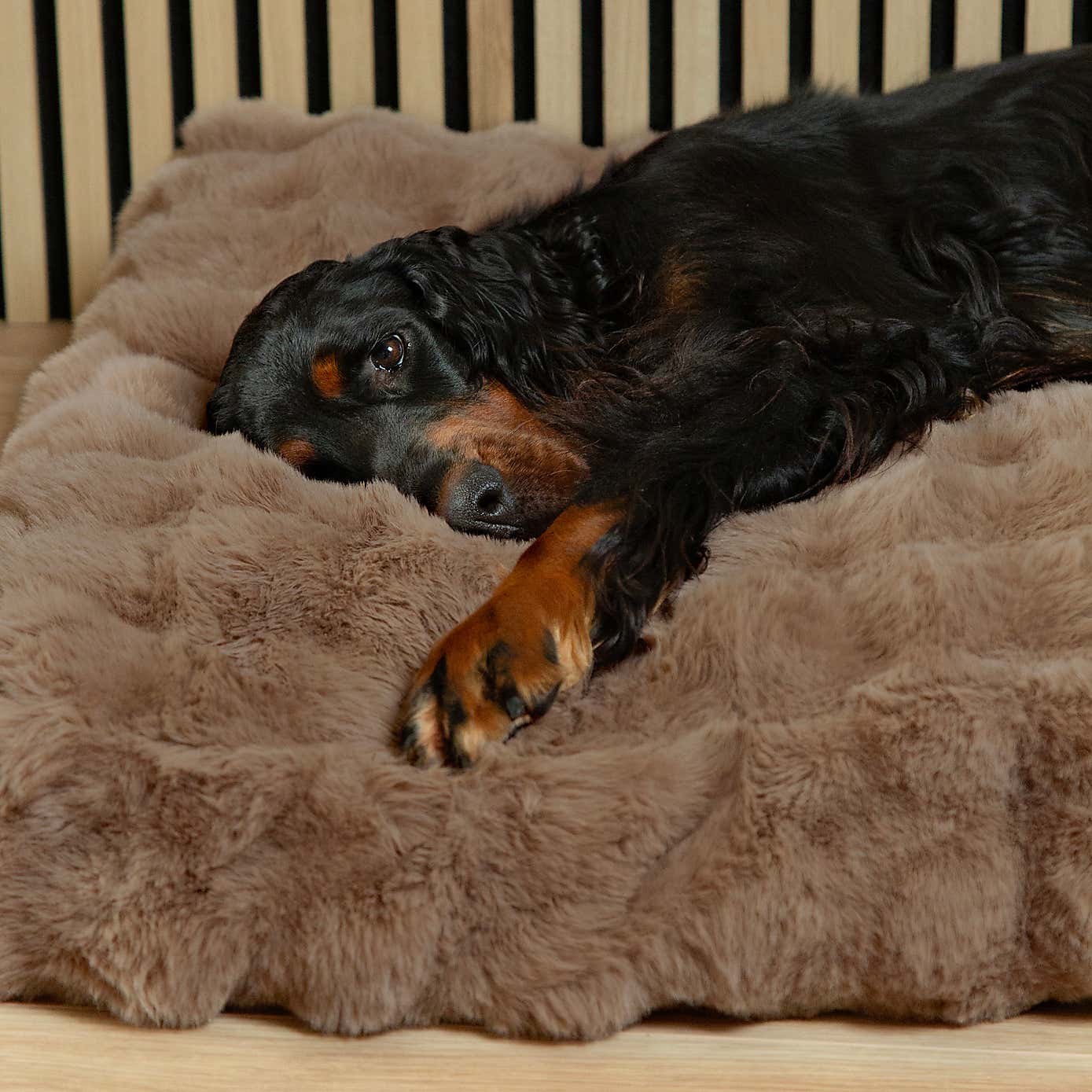Scruffs Luxurious Alpine Dog Mattress