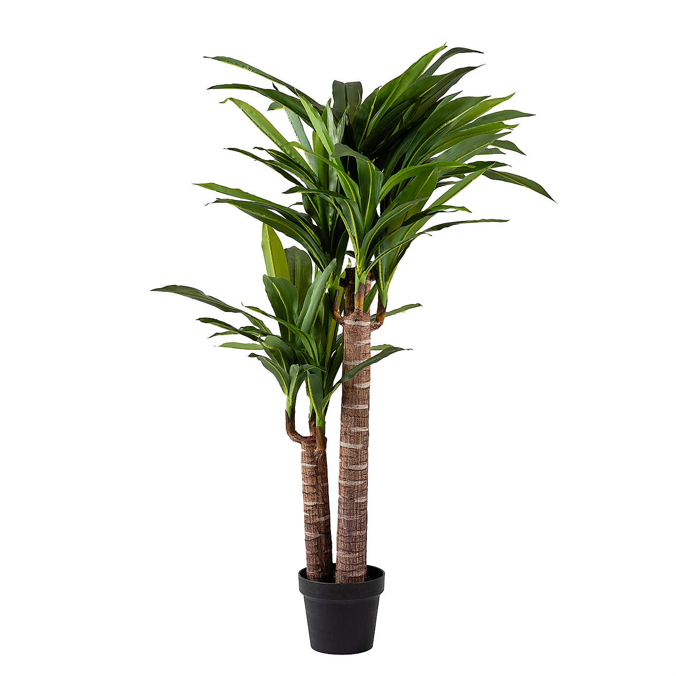 Artificial Triple Stem Yucca Tree in Black Plant Pot