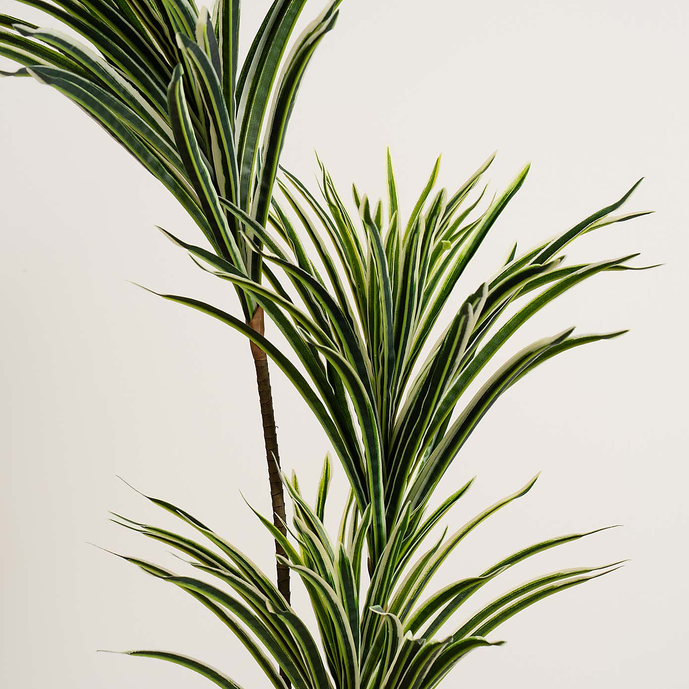 Artificial Real Touch Yucca Tree in Black Plant Pot