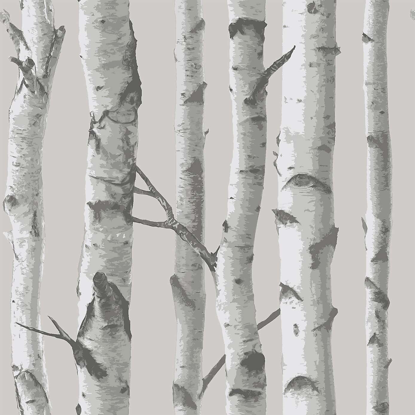 NuWallpaper Mountain Birch Grey Self Adhesive Wallpaper