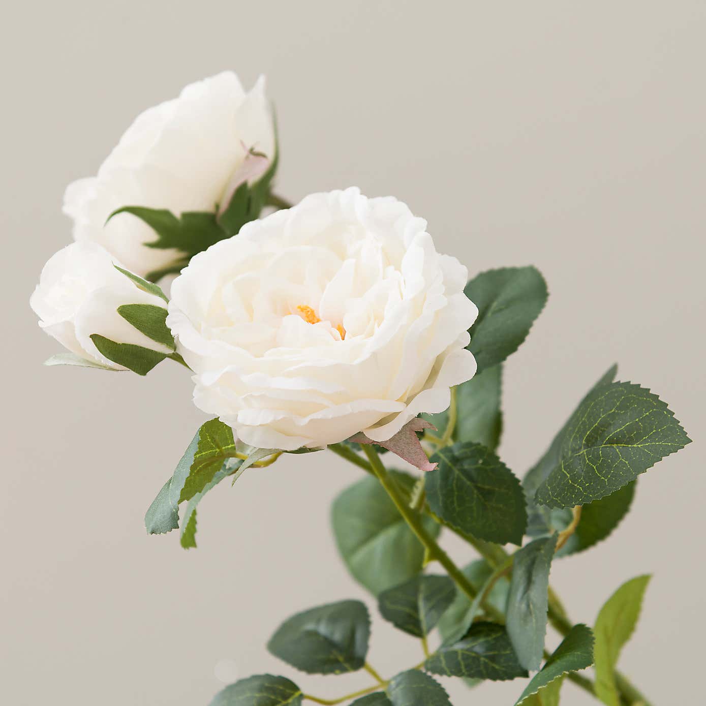 Artificial White Cabbage Rose Stem