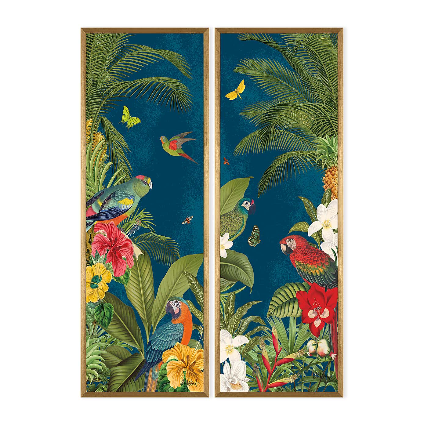 Set of 2 Framed Prints - Parrot Paradise