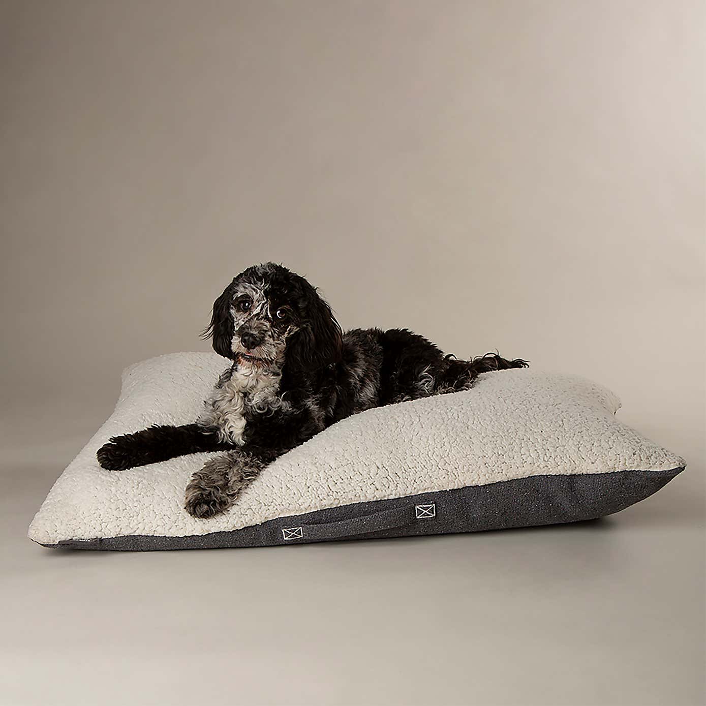 Scruffs 100% Recycled Eden Dog Pillow