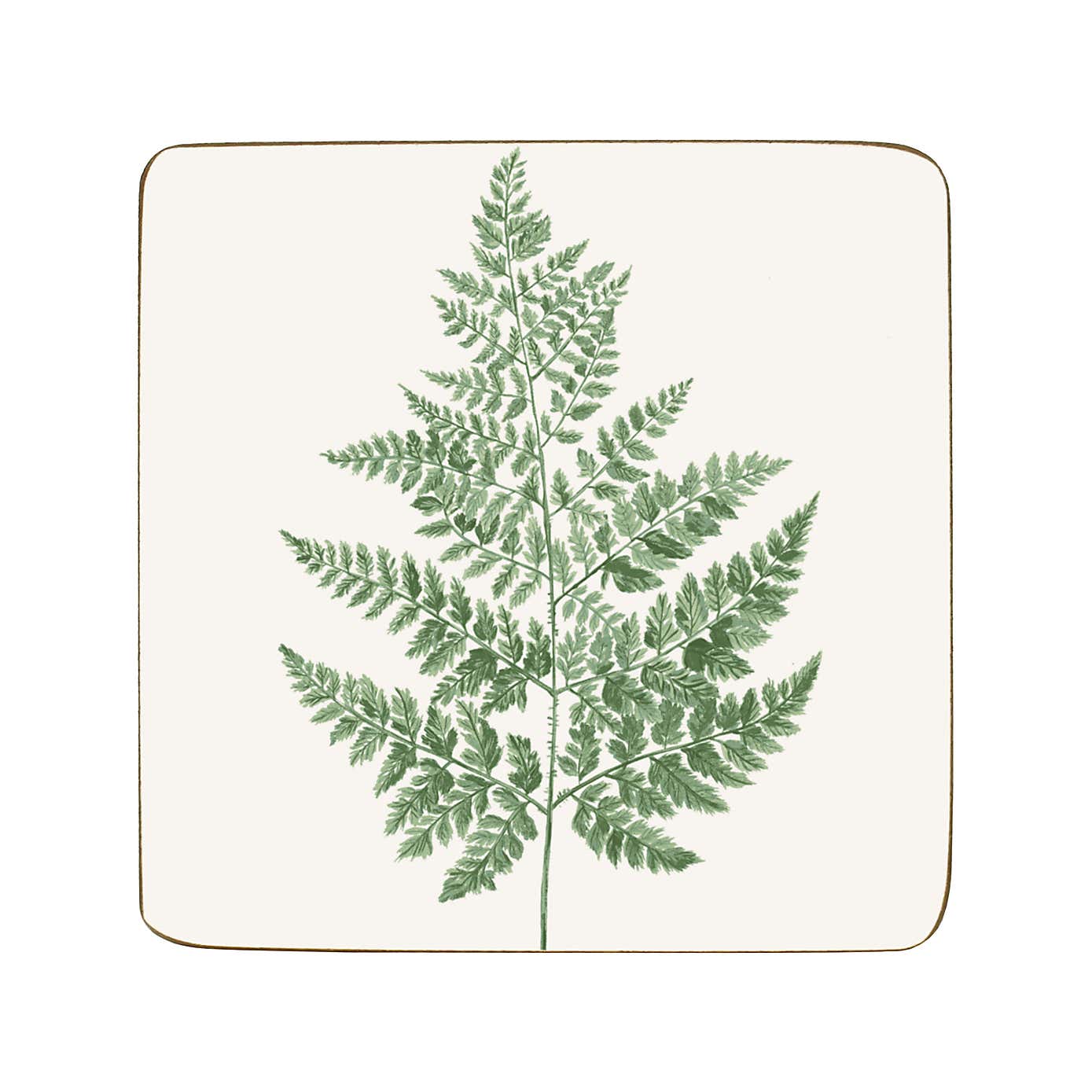 Fern Pack of 4 Corkback Coasters