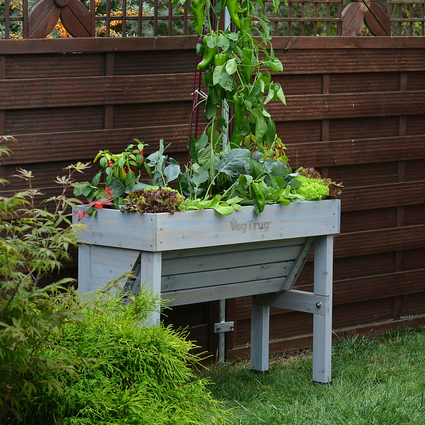 VegTrug Small Wall Hugger
