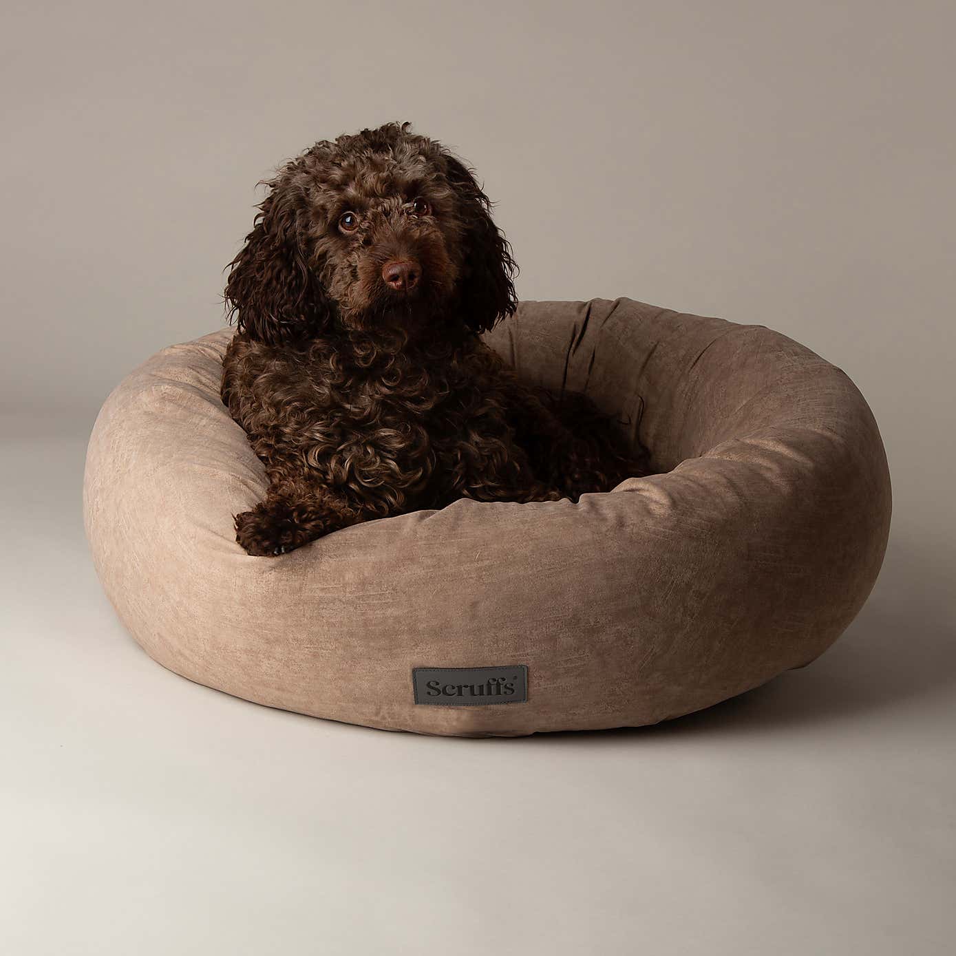 Scruff Oslo Donut Dog Bed