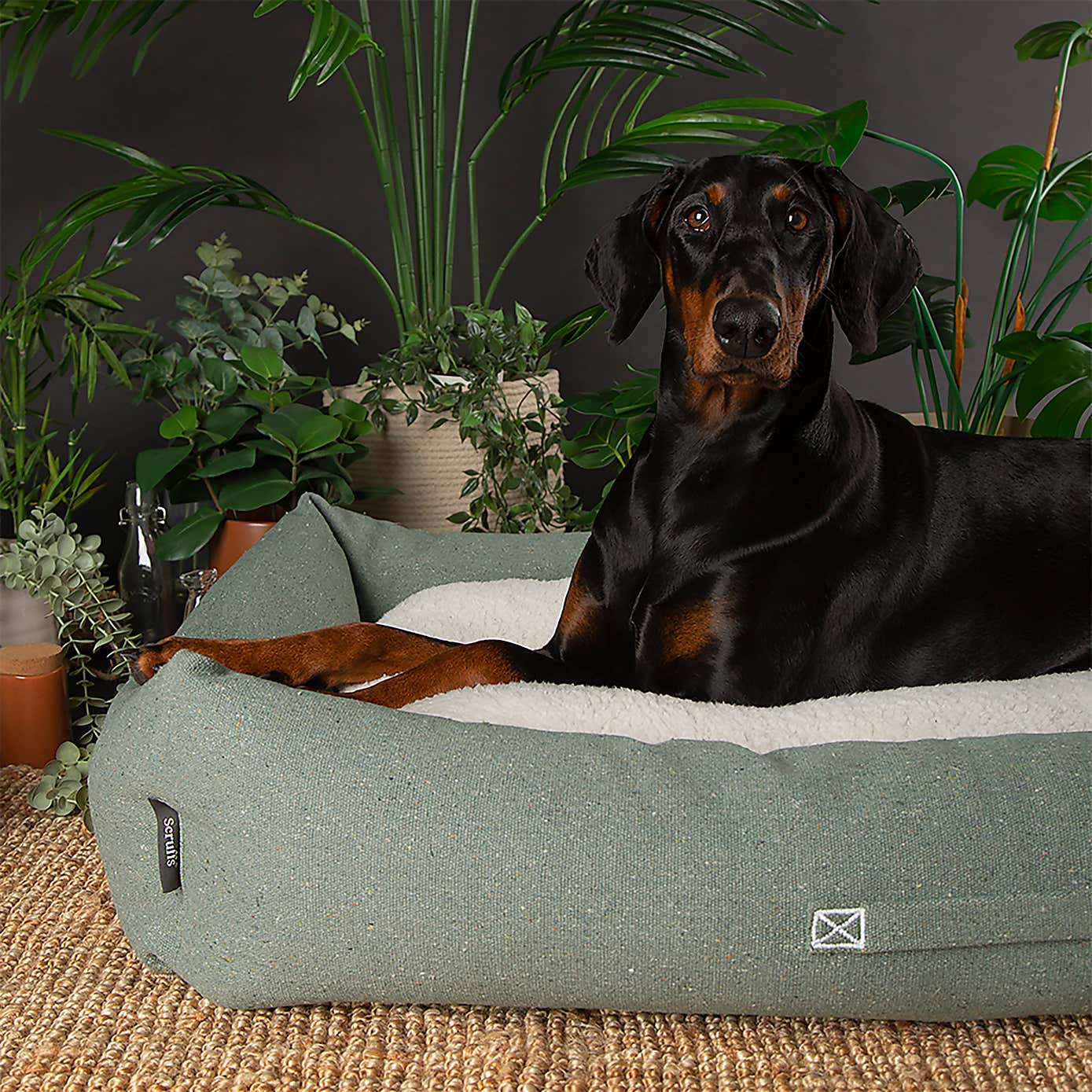 Scruffs 100% Recycled Eden Dog Box Bed