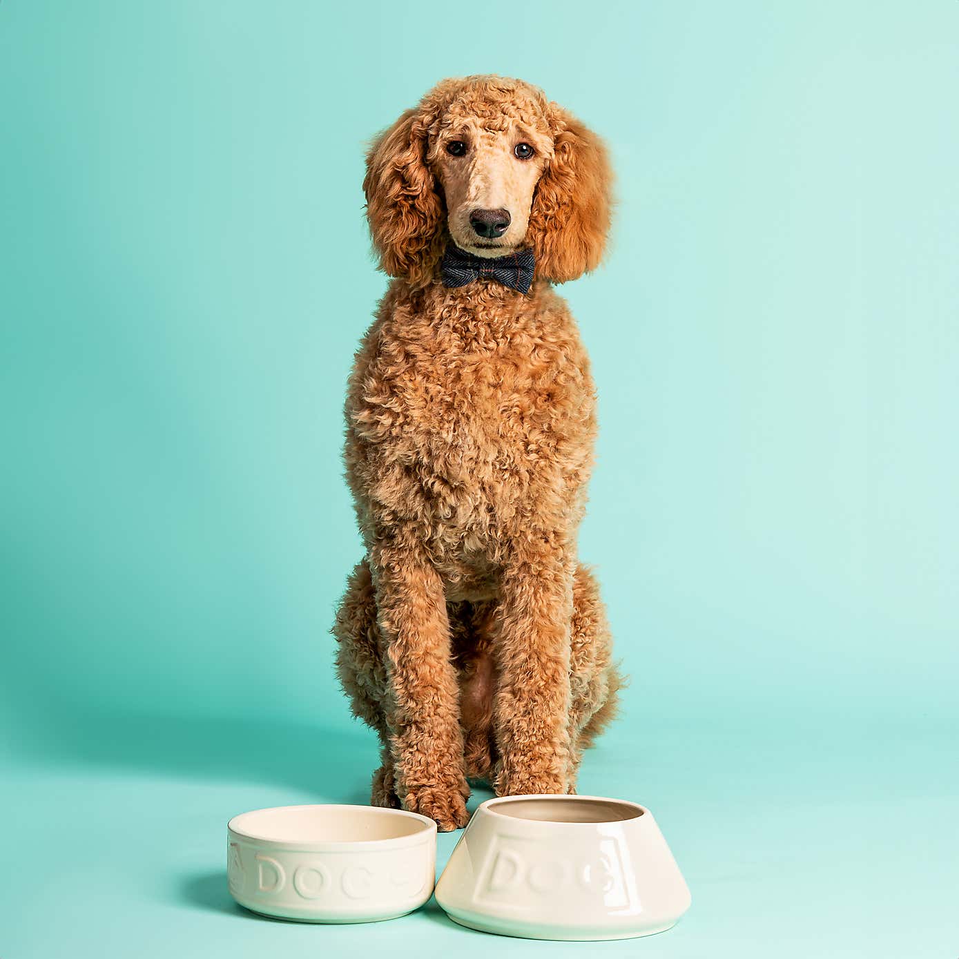 Mason Cash Cane Dog Bowl