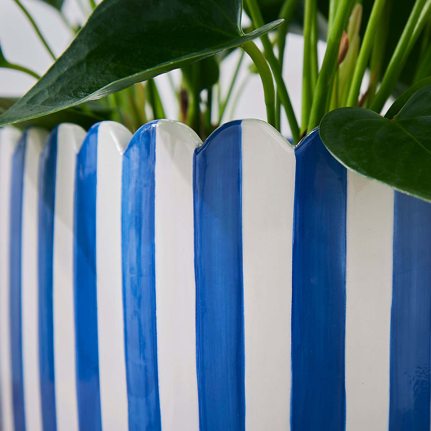 Scalloped Blue Plant Pot