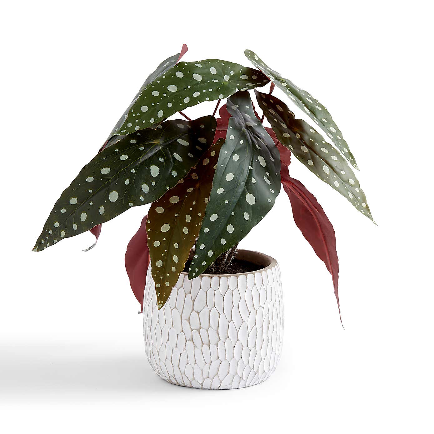 Artificial Begonia Plant in White Textured Plant Pot