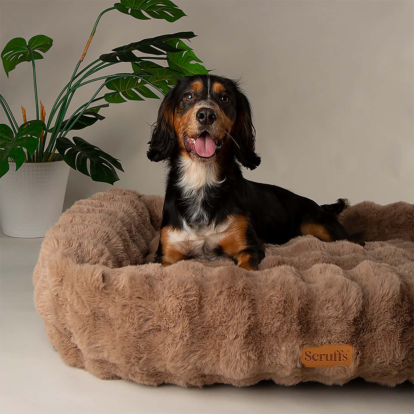 Scruffs Luxurious Alpine Dog Box Bed
