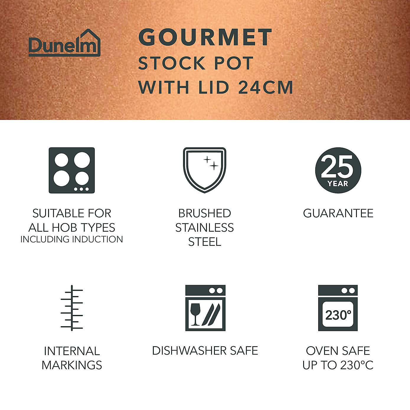 Gourmet Stainless Steel Stockpot with Lid, 24cm