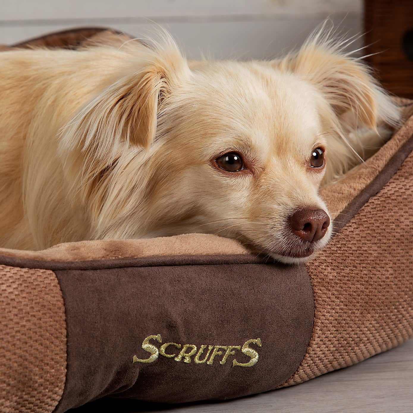 Scruffs Pet Chester Box Bed