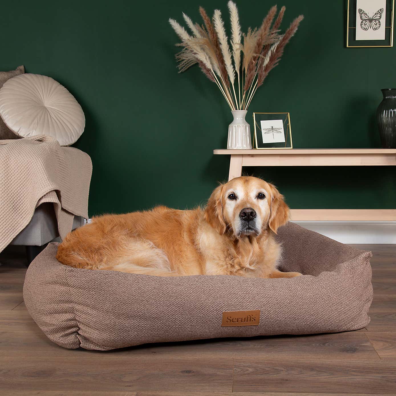 Scruffs Seattle Box Bed