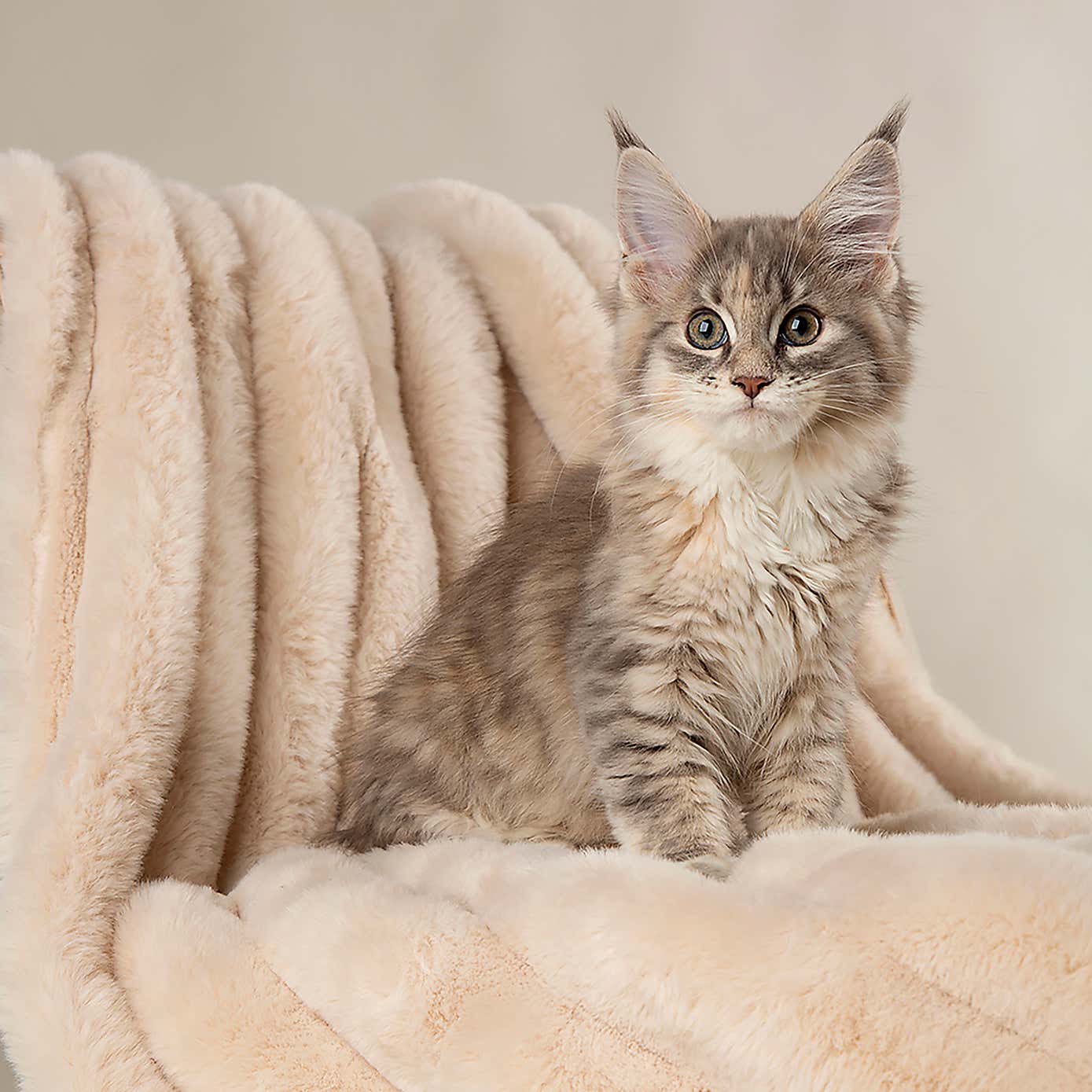 Scruffs Luxurious Aspen Pet Blanket