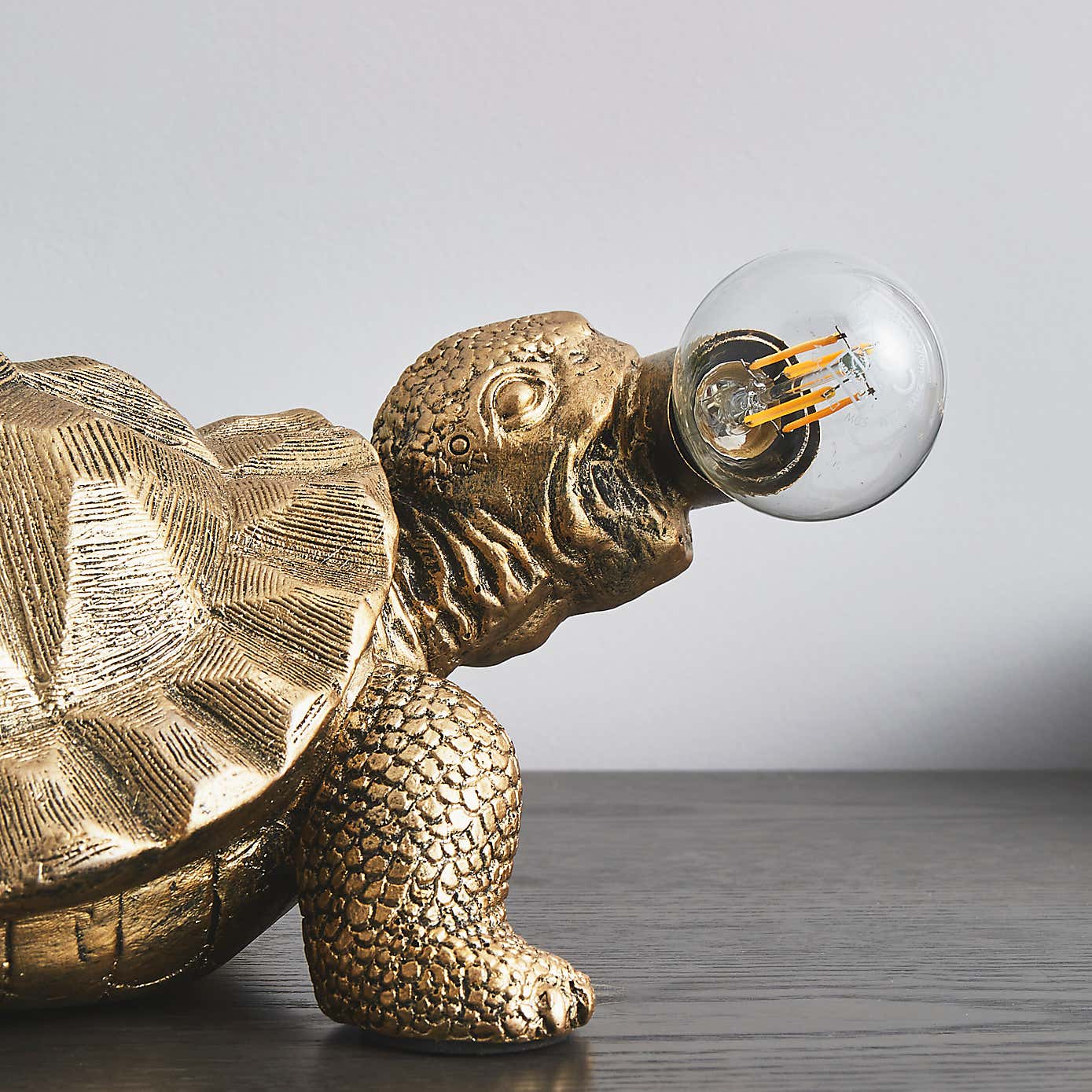 Tafari Tortoise Table Lamp