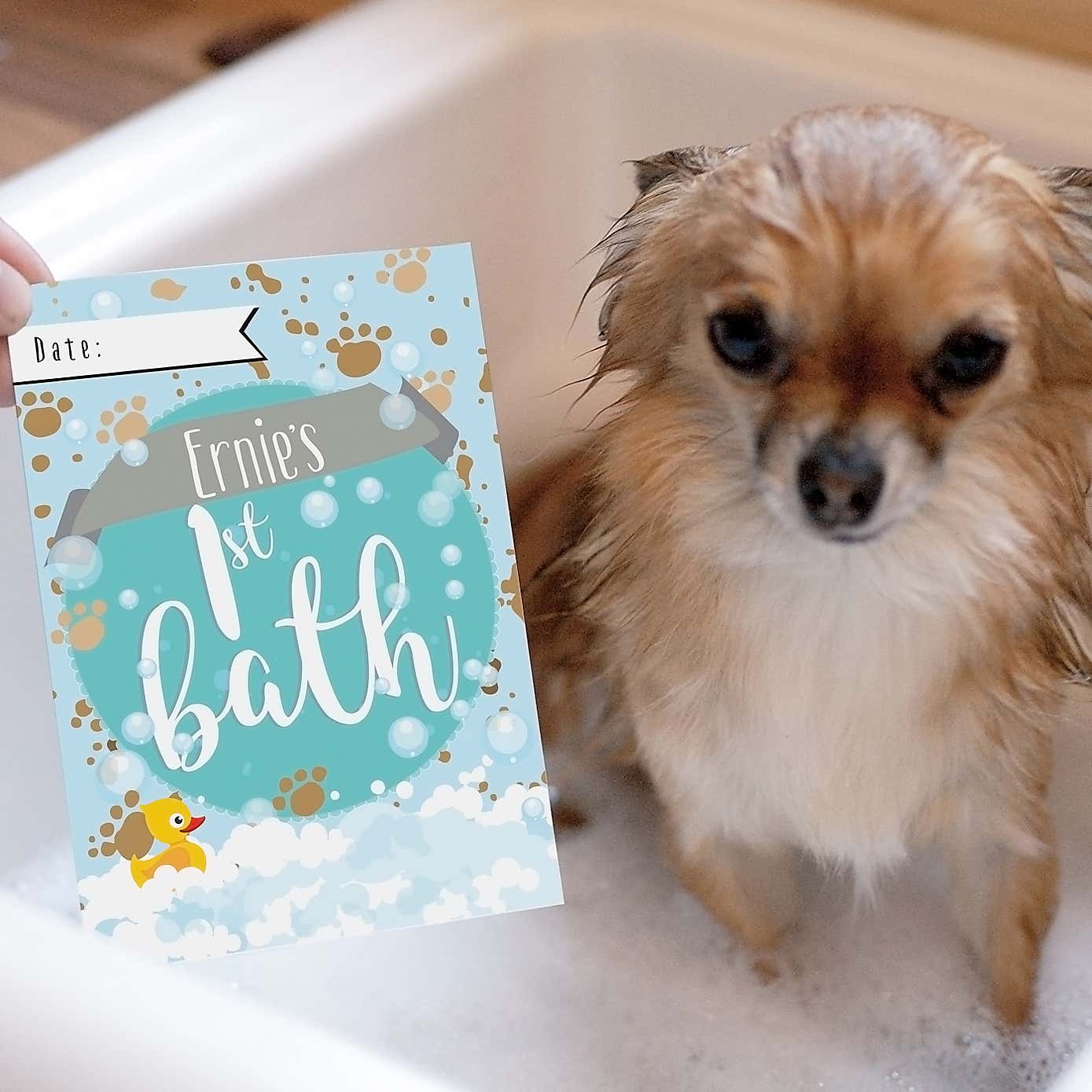Personalised Puppy Cards Milestone Moments