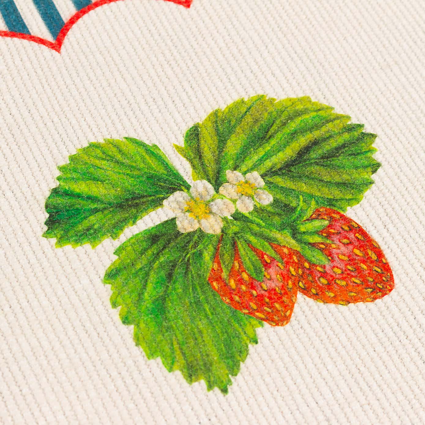 Wylder Set of 4 Strawberry Stripes Placemats