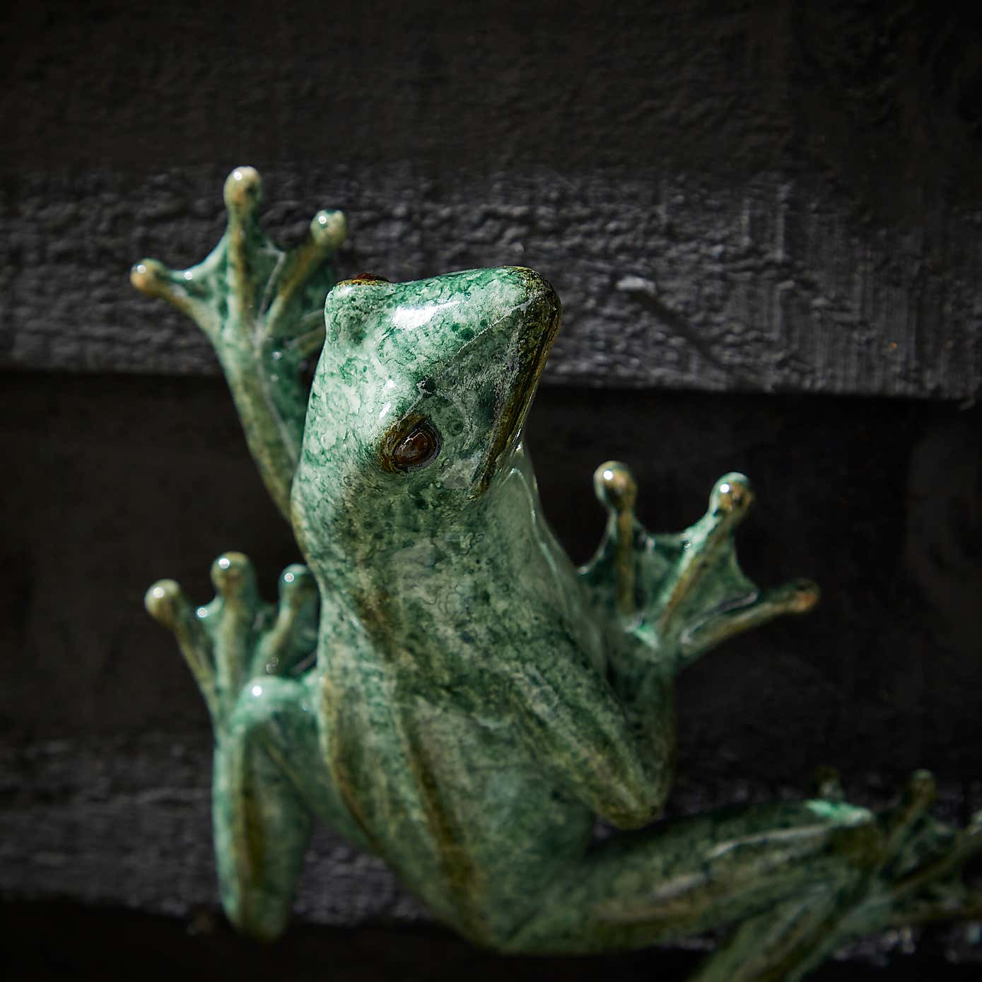 Resin Frog Wall Ornament