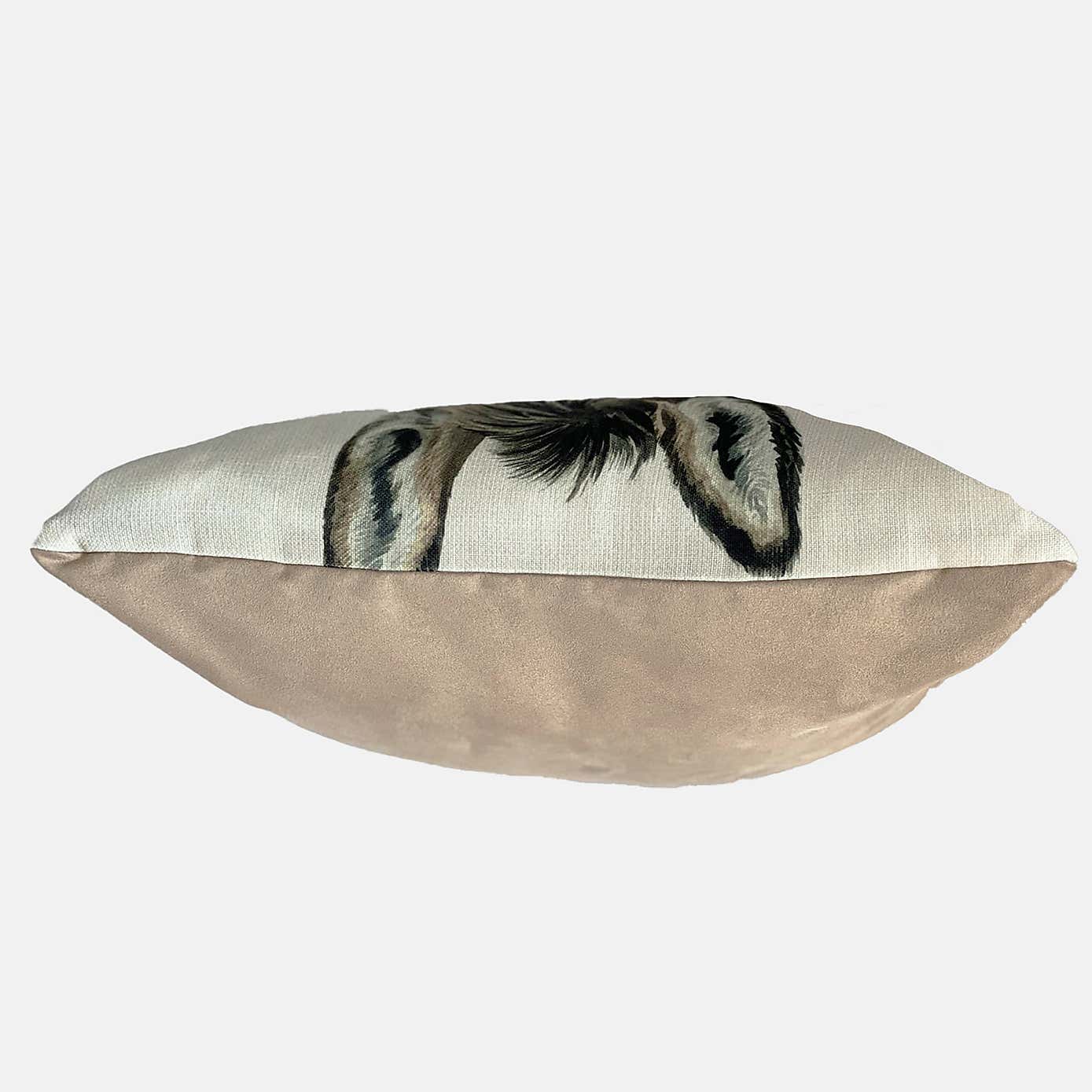 Christine Varley Donkey Square Cushion