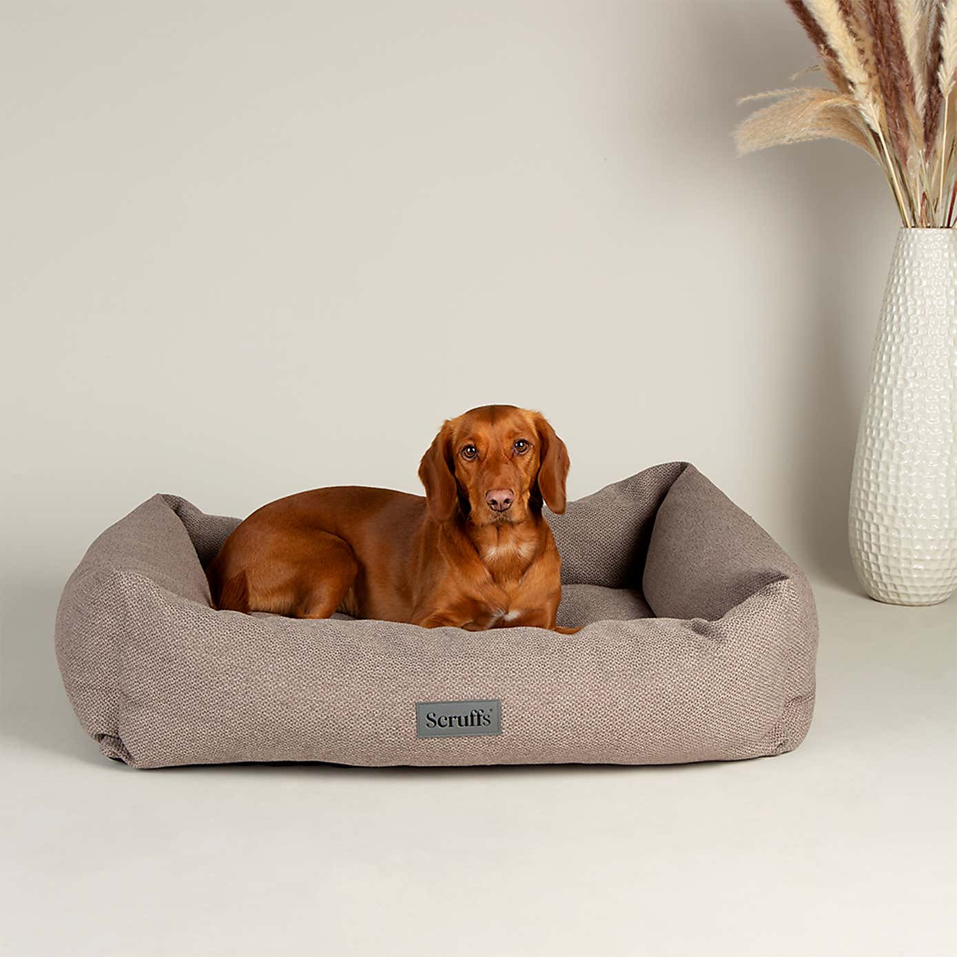 Scruffs Seattle Box Bed